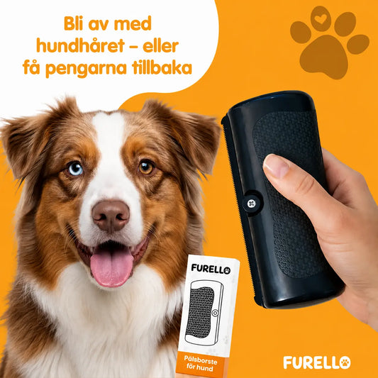 Furello™ Pälsborste - Den smarta lösningen mot löst hundhår