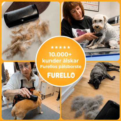 Furello™ Pälsborste - Den smarta lösningen mot löst hundhår